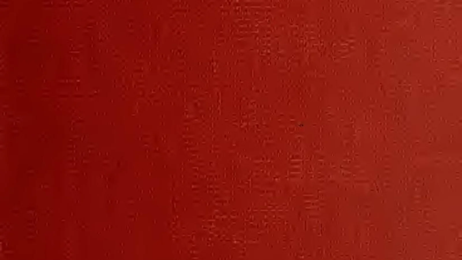 Bloomingdale Tampa Bay