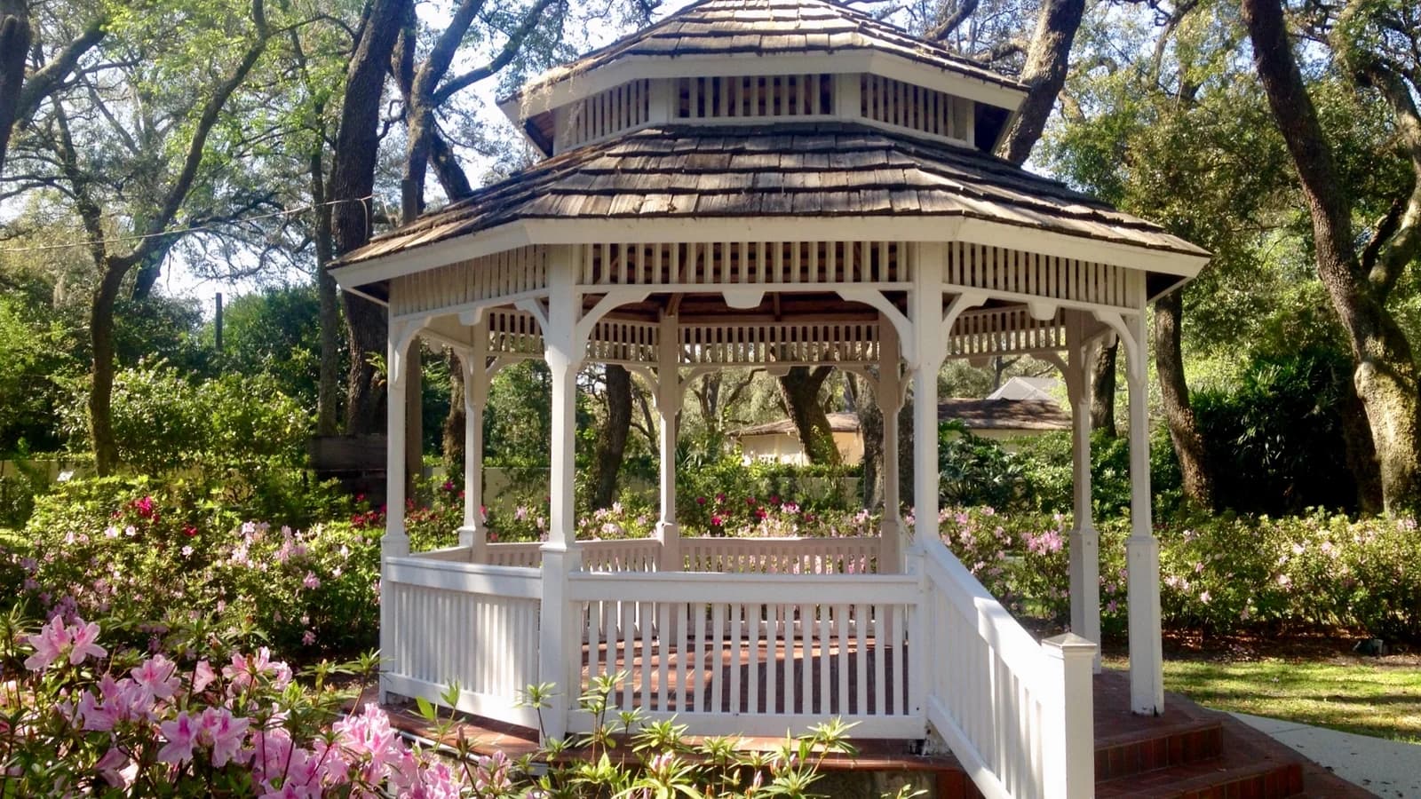 Temple Terrace Tampa Bay